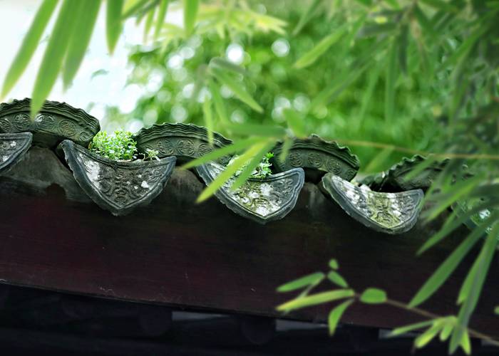 成都旅游，当心那些热情的出租车陷阱-第2张图片-成都租车公司